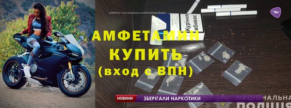 дмт Абаза