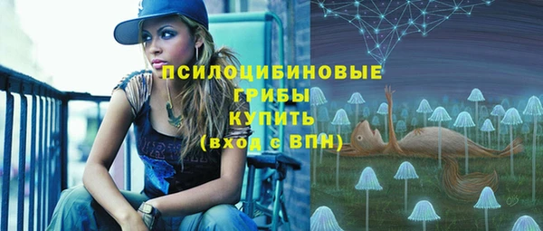 дмт Абаза