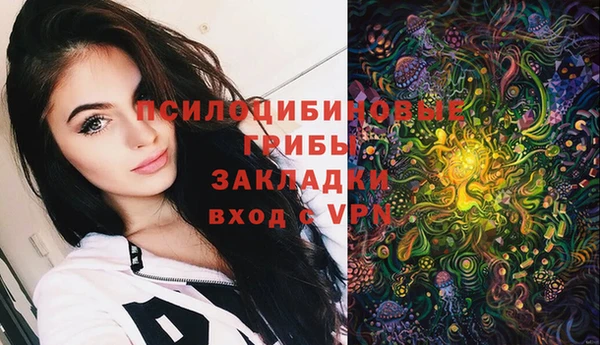 дмт Абаза