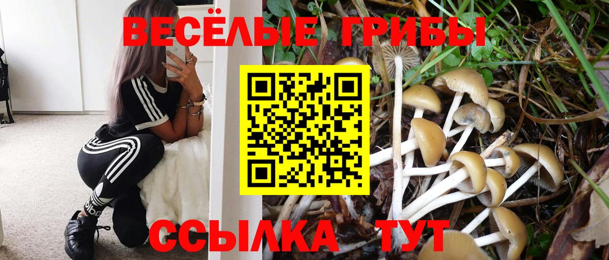 A PVP Благодарный