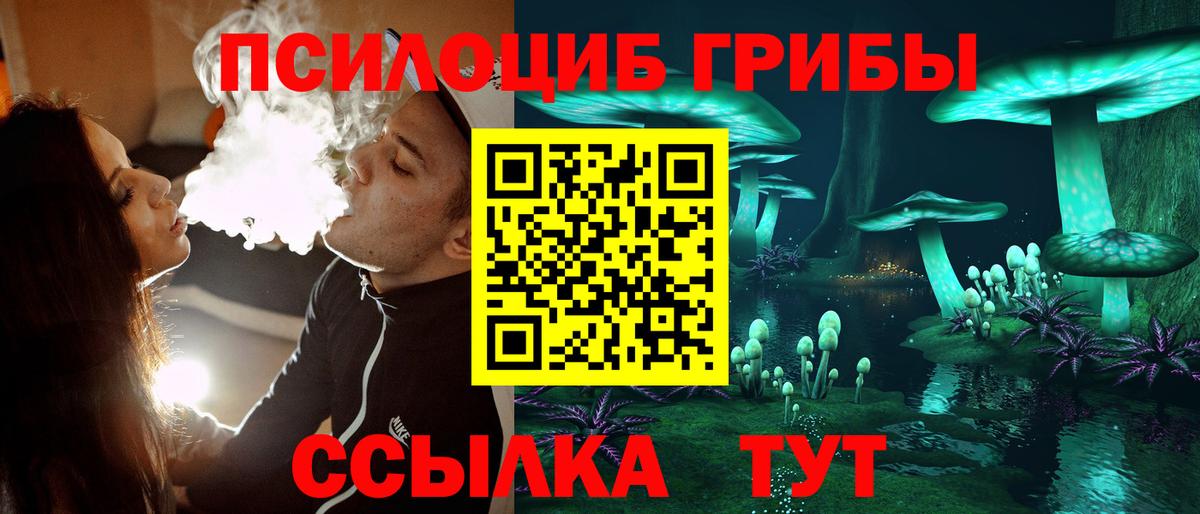 Благодарный  Псилоцибиновые грибы мухоморы  Галлюциногенные грибы мухоморы  Вход с VPN 