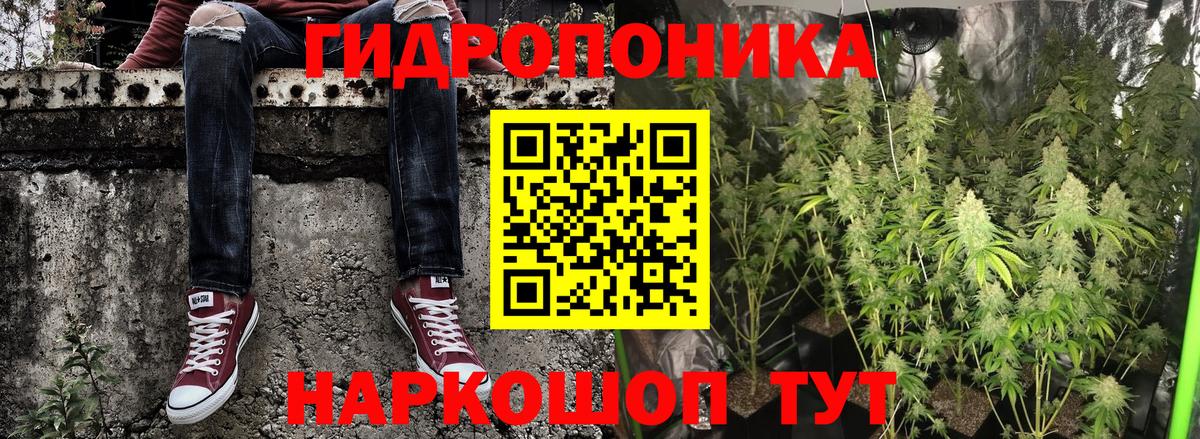 Бошки марихуана OG Kush  Конопля гибрид  Благодарный  Конопля гибрид  Вход с VPN 